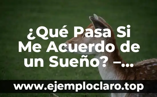 El Poder de la Personalidad Magnética 5 ¿Qué Pasa Si Me Acuerdo de un Sueño? – Descubre el Significado y el Poder de la Memoria Onírica