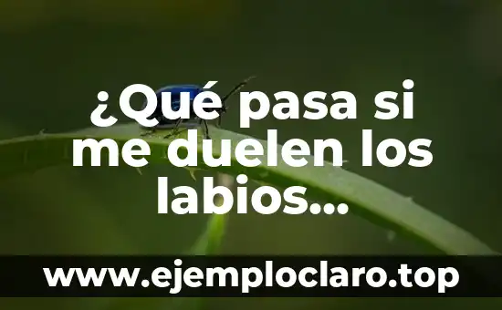 Cómo Curar una Herida en los Labios Genitales de Forma Natural y Segura 5 ¿Qué pasa si me duelen los labios genitales?
