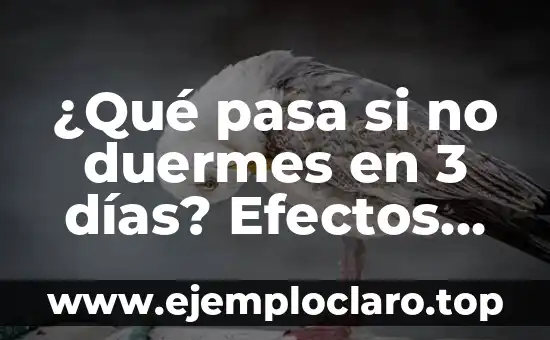 ¿Qué pasa si no duermes en 3 días? Efectos del insomnio prolongado en la salud