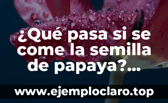 Beneficios de Dormir Sin Ropa Interior: Descubre la Libertad Nocturna 7 ¿Qué pasa si se come la semilla de papaya? beneficios y riesgos
