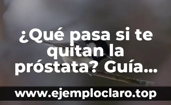 ¿Qué pasa si te quitan el útero? Guía completa sobre la histerectomía 8 ¿Qué pasa si te quitan la próstata? Guía detallada sobre la prostatectomía