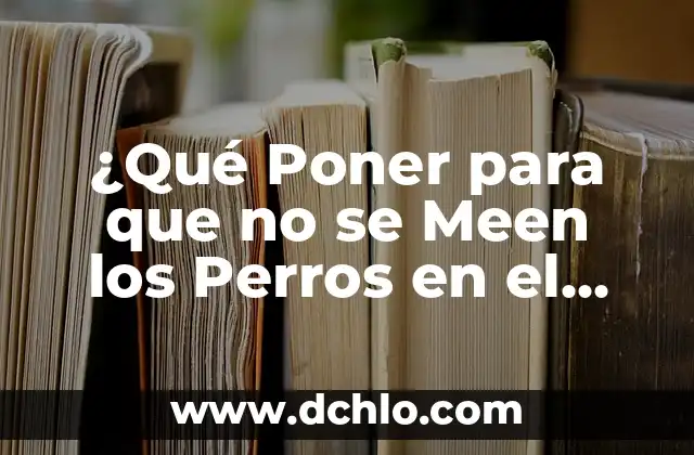 Cómo Poner WhatsApp en el Ordenador (PC o Mac) de Forma Segura y Fácil 5 ¿Qué Poner para que no se Meen los Perros en el Jardín?: Soluciones Efectivas