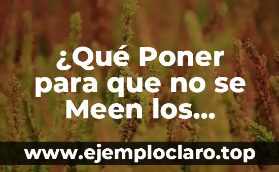 Cómo Poner Letra en Negrita en WhatsApp - Guía Práctica 5 ¿Qué Poner para que no se Meen los Perros en el Jardín?: Soluciones Efectivas