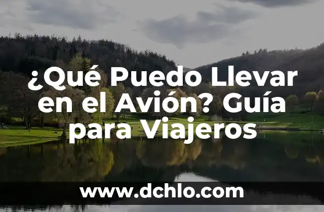 ¿Puedo Ir Sin Camiseta por la Calle? Reglas y Precauciones 3 ¿Qué Puedo Llevar en el Avión? Guía para Viajeros