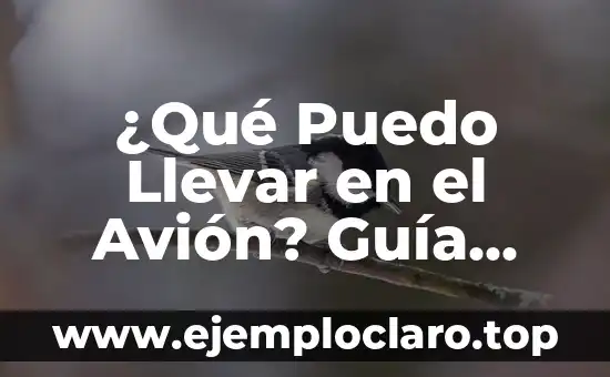 ¿Qué Puedo Llevar en el Avión? Guía para Viajeros