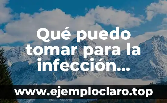 Qué puedo tomar para la infección urinaria: Tratamiento y Prevención
