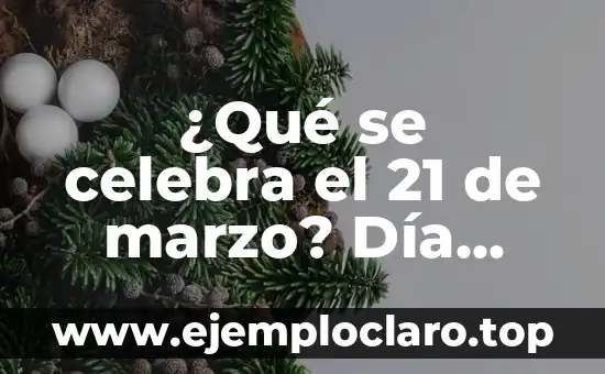 Significado de Trastornos de Conducta Alimentaria 3 ¿Qué se celebra el 21 de marzo? Día Mundial de la Trastornos del Habla