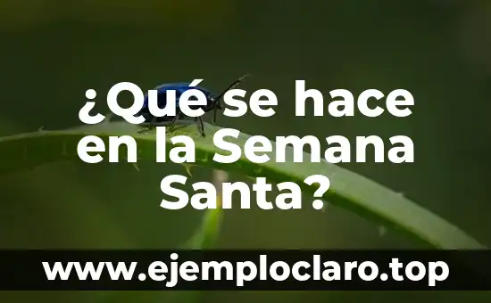 ¿Qué se hace en la Semana Santa?