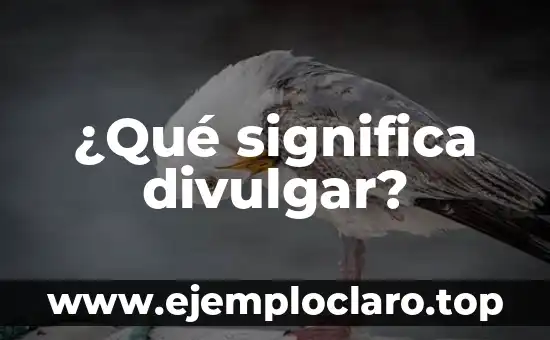 ¿Qué significa divulgar?