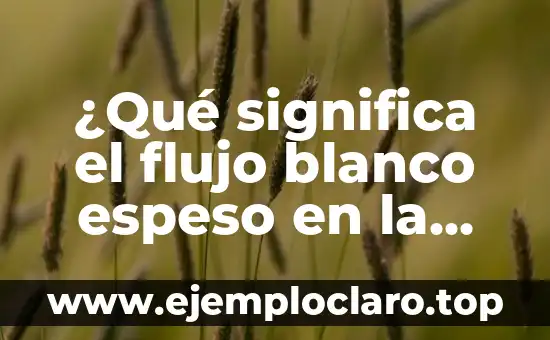 Cómo hacer mojo rojo espeso 5 ¿Qué significa el flujo blanco espeso en la salud femenina?