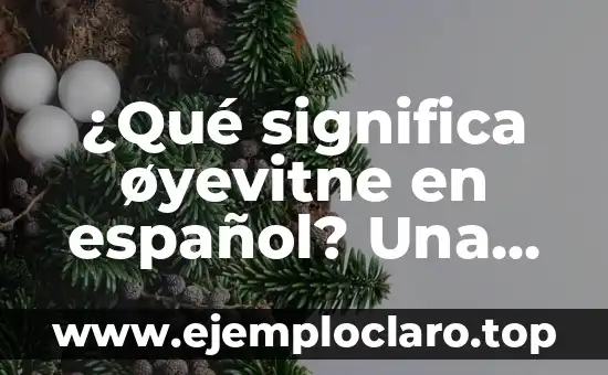 ¿Qué significa øyevitne en español? Una guía detallada