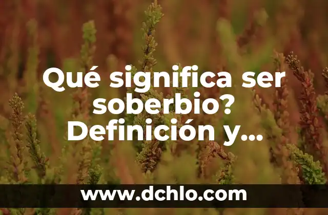 Metas de una Empresa - Definición y Estrategias 3 Qué significa ser soberbio? Definición y características