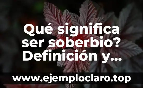 Qué significa ser soberbio? Definición y características