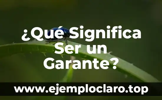 ¿Qué Significa Ser un Garante?