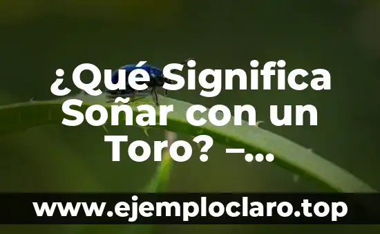 Significado y Definición de Droguería 5 ¿Qué Significa Soñar con un Toro? – Interpretación y Significado de los Sueños