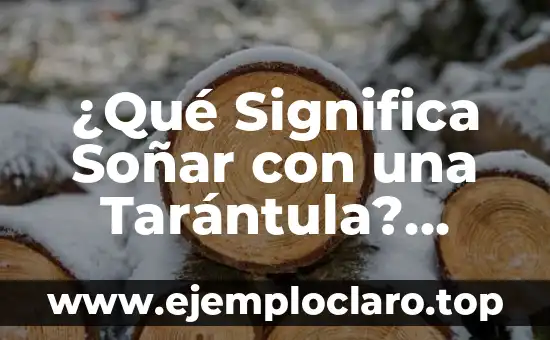 Significado de Fisonomía: Descubre el Arte de la Interpretación Facial 4 ¿Qué Significa Soñar con una Tarántula? Análisis y Interpretación de los Sueños