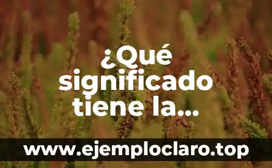 Concepto, definición y significado de coordinación 4 ¿Qué significado tiene la coordinación?