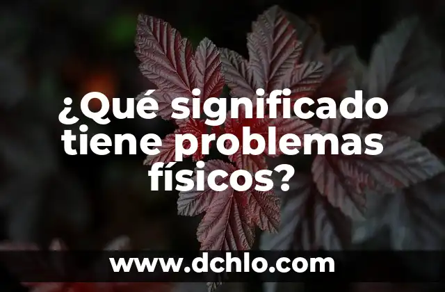 Tres significados de daños físicos 3 ¿Qué significado tiene problemas físicos?