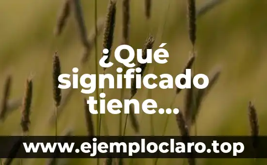 ¿Qué significado tiene problemas físicos?