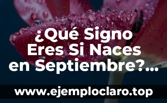 El Significado del Dieciséis de Septiembre en la Poesía 8 ¿Qué Signo Eres Si Naces en Septiembre? – Descubre Tu Signo Zodiacal