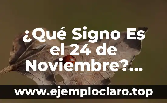 ¿Qué Signo Es el 24 de Noviembre? Descubre Tu Horóscopo