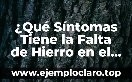 ¿Qué Síntomas Tiene la Falta de Hierro en el Cuerpo?