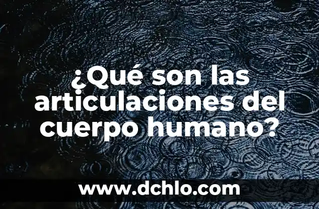 ¿Por qué las carreras de F1 son los sábados? 6 ¿Qué son las articulaciones del cuerpo humano?