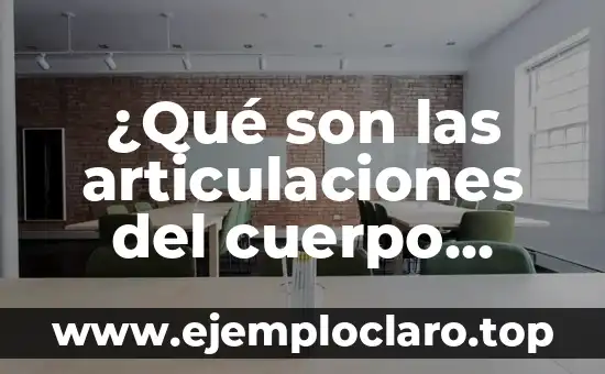 ¿Qué son las articulaciones del cuerpo humano?