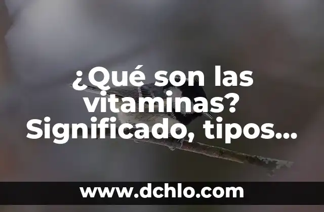 Significado de Violencia y sus Tipos 3 ¿Qué son las vitaminas? Significado, tipos y funciones