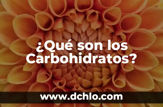 ¿Qué son las articulaciones del cuerpo humano? 5 ¿Qué son los Carbohidratos?