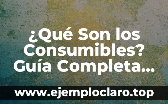 Significado y Definición de Should 5 ¿Qué Son los Consumibles? Guía Completa para Entender su Significado