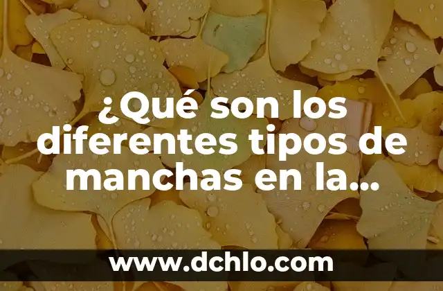 Tipos de Talismanes y su Significado: Guía Completa 8 ¿Qué son los diferentes tipos de manchas en la piel?