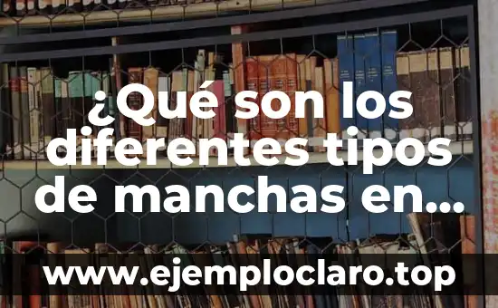 ¿Qué son los diferentes tipos de manchas en la piel?