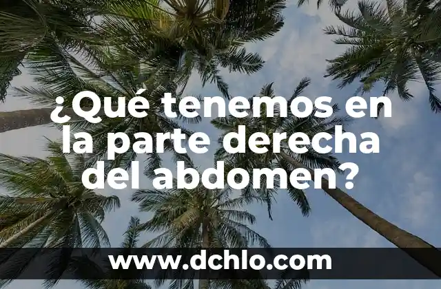 Dolor en el pecho parte derecha: causas, síntomas y tratamiento 5 ¿Qué tenemos en la parte derecha del abdomen?