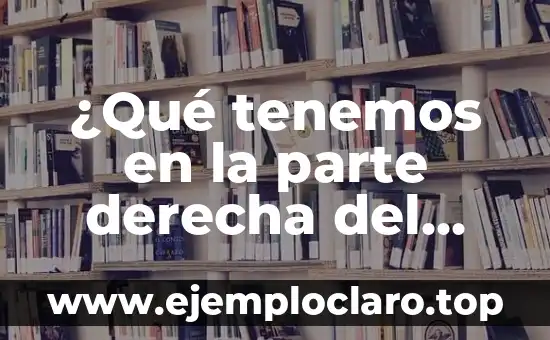 ¿Qué tenemos en la parte derecha del abdomen?