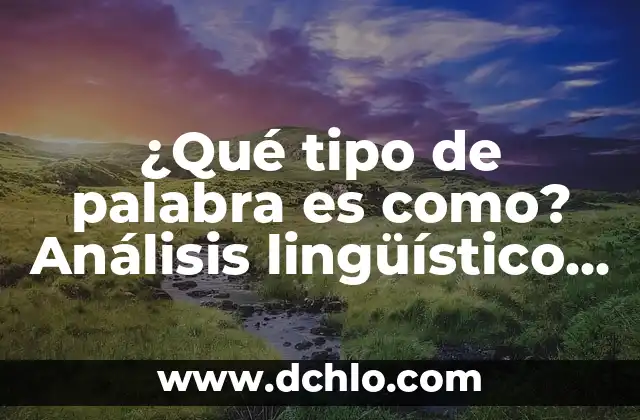 Tipo de Manos y su Significado 8 ¿Qué tipo de palabra es como? Análisis lingüístico y semántico
