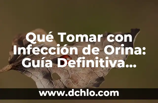 Cómo quitar el contestador de Yoigo: Guía definitiva 7 Qué Tomar con Infección de Orina: Guía Definitiva para Aliviar los Síntomas