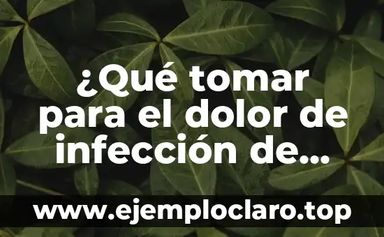 ¿Qué tomar para el dolor de infección de orina? | Tratamiento efectivo