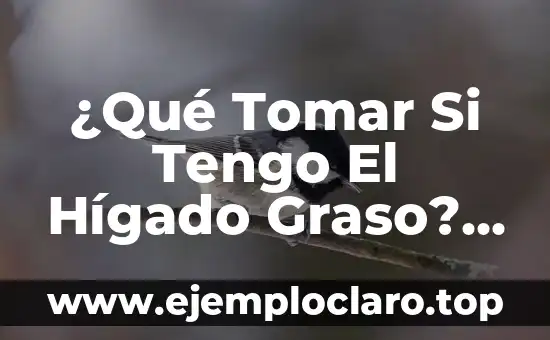 ¿Qué Tomar Si Tengo El Hígado Graso? - Soluciones Naturales y Efectivas