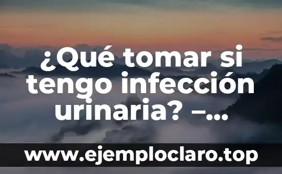 ¿Qué tomar si tengo infección urinaria? – Tratamiento y Remedios Naturales