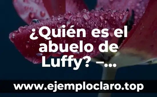¿Quién es el abuelo de Luffy? - Descubre la historia detrás de Monkey D. Garp