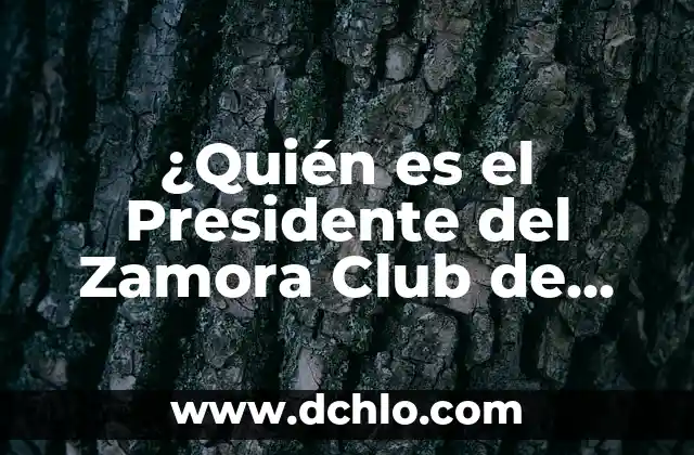 ¿Cómo a quedado la selección española de fútbol después de la Era de Tiki-Taka? 8 ¿Quién es el Presidente del Zamora Club de Fútbol?