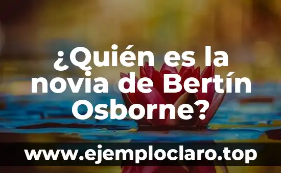 ¿Quién es la novia de Bertín Osborne?
