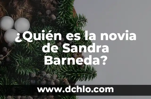 ¿Quién es la novia de Bertín Osborne? 6 ¿Quién es la novia de Sandra Barneda?