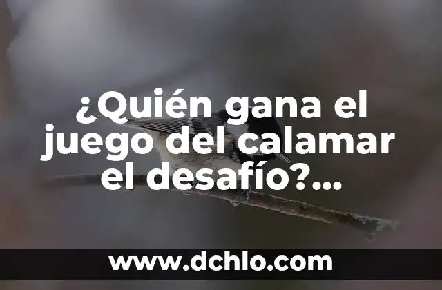 Segunda Temporada de El Juego del Calamar: Análisis y Spoilers 4 ¿Quién gana el juego del calamar el desafío? Análisis y estrategias para triunfar