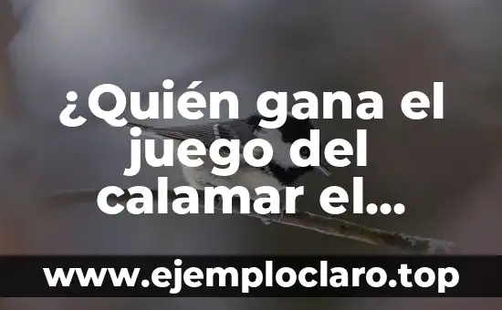 ¿Quién gana el juego del calamar el desafío? Análisis y estrategias para triunfar