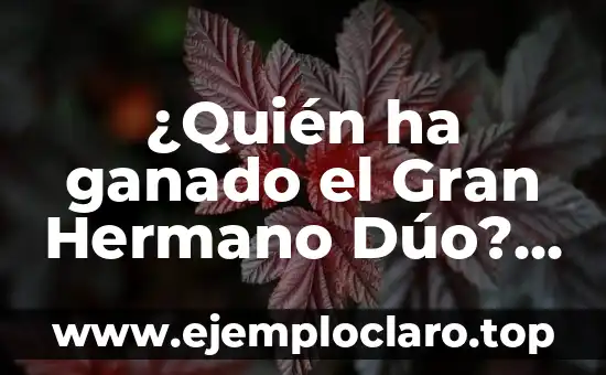 ¿Quién ha ganado el Gran Hermano Dúo? – Todos los Ganadores del Reality Show