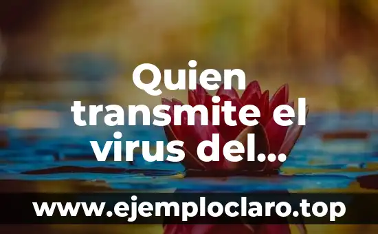 ¿El virus del papiloma humano tiene cura? Descubre la verdad 3 Quien transmite el virus del papiloma humano – Información y prevención