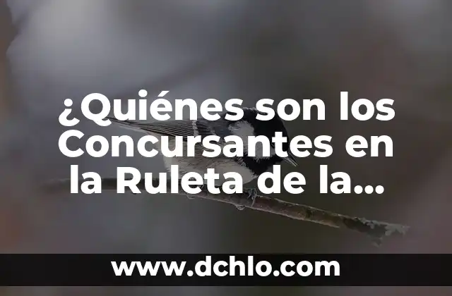 ¿Quiénes son las personas que miran en la segunda ITV? 5 ¿Quiénes son los Concursantes en la Ruleta de la Suerte? – Información y Detalles