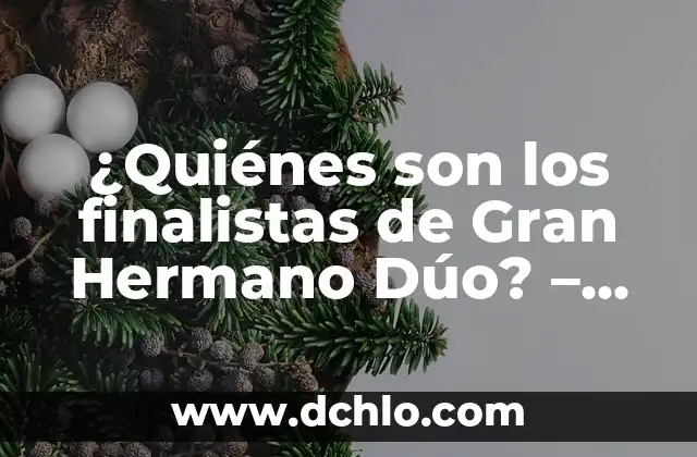 ¿Quiénes son las personas que miran en la segunda ITV? 8 ¿Quiénes son los finalistas de Gran Hermano Dúo? – Conoce a los concursantes más populares